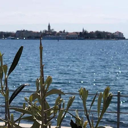 Apartment Punta Zadar